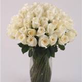 Gracious 36 White Roses with Vase